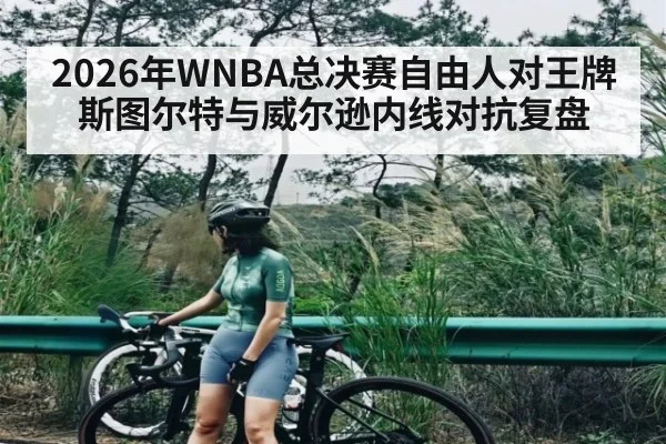 2026年WNBA总决赛自由人对王牌斯图尔特与威尔逊内线对抗复盘